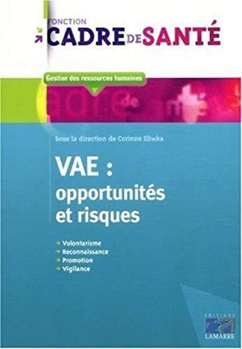 VAE, opportunités et risques : volontarisme, reconnaissance, promotion, vigilance