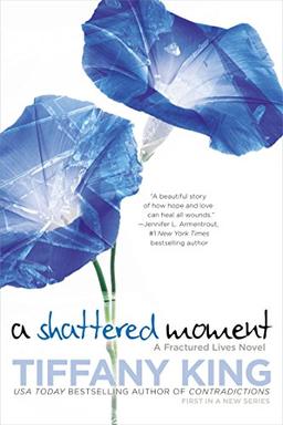 A Shattered Moment (A Fractured Lives novel, Band 1)