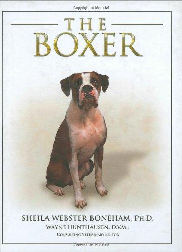 Boxer