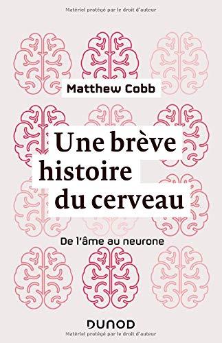 Une brève histoire du cerveau : de l'âme au neurone