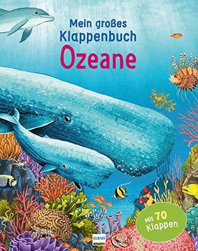 Mein großes Klappenbuch - Ozeane: mit 70 Klappen und spannenden Sachinformationen