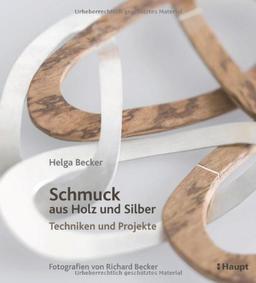 Schmuck aus Holz und Silber: Techniken und Projekte