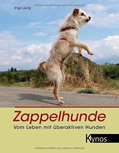 Zappelhunde: Vom Leben mit überaktiven Hunden