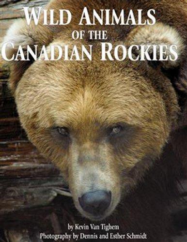 Wild Animals of the Canadian Rockies