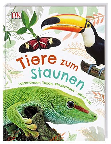 Tiere zum Staunen: Salamander, Tukan, Fledermaus - ganz nah