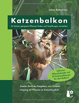 Katzenbalkon: für Katzen geeignete Pflanzen finden und Vergiftungen vermeiden (Katzenpflanzen)