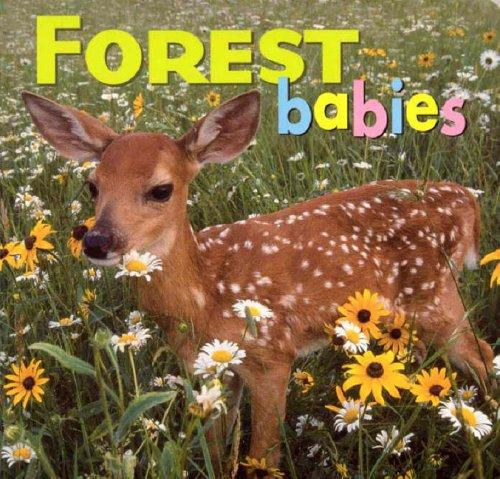 Forest Babies (Animal Babies)