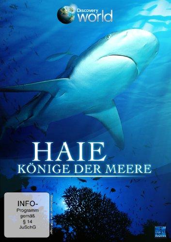 Haie - Könige der Meere