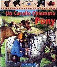 Un cavallo chiamato pony (Guarda da vicino)