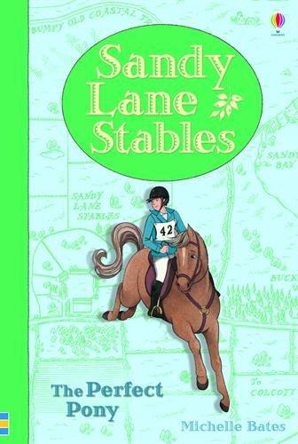 Sandy Lane Stables: The Perfect Pony (Young Reading)