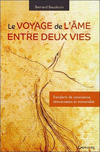 Le voyage de l'âme entre deux vies : transferts de conscience, réincarnation et immortalité