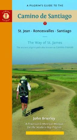 Pilgrim's Guide to the Camino De Santiago (Aamino Guides)