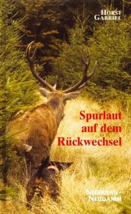 Spurlaut auf dem Rückwechsel