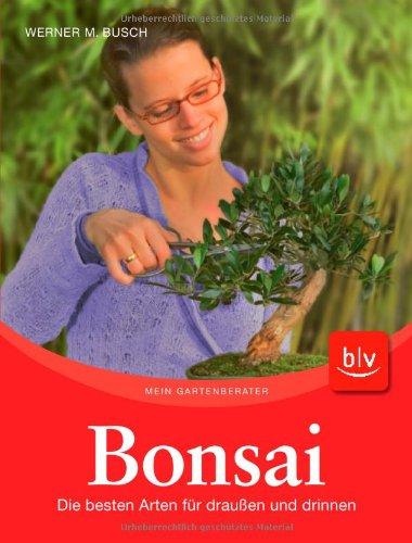 Bonsai: Die besten Arten für draußen und drinnen