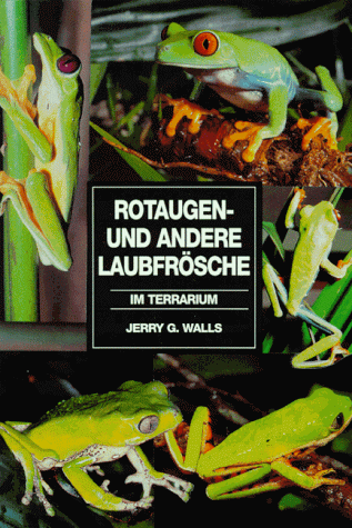 Rotaugen- und andere Laubfrösche