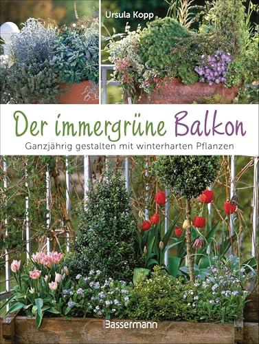 Der immergrüne Balkon. Ganzjährig gestalten mit winterharten Pflanzen: Pflegeleicht, bienenfreundlich, günstig. Auch für Terrassen