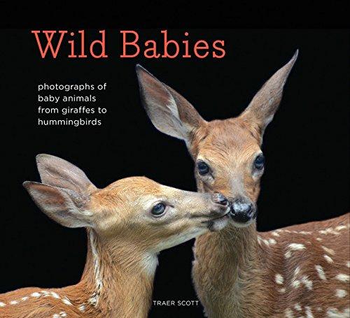 Wild Babies: Photographs of Baby Animals from Giraffes to Hummingbirds