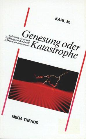 Genesung oder Katastrophe: Erfahrung, Kraft und Hoffnung mit den Zwölf Schritten der Anonymen...