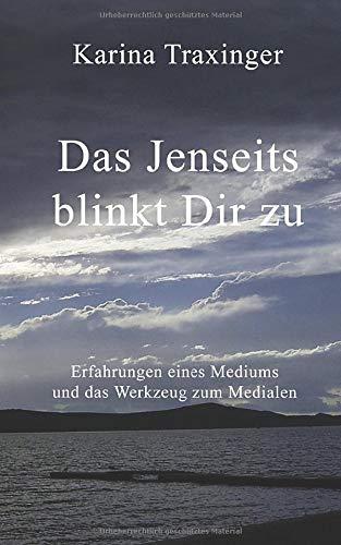 Das Jenseits blinkt Dir zu: Erfahrungen eines Mediums und das Werkzeug zum Medialen