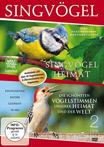 Singvögel