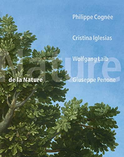 De la nature : Philippe Cognée, Cristina Iglesias, Wolfgang Laib, Giuseppe Penone