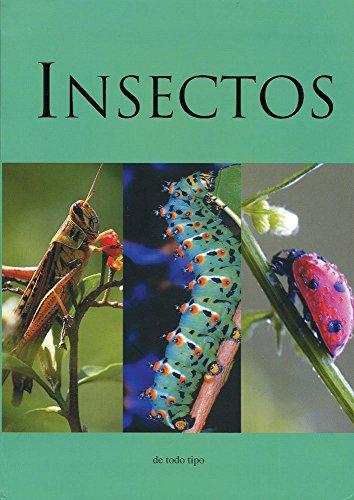 Insectos