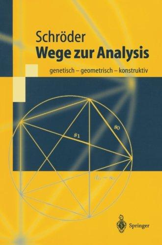 Wege zur Analysis: Genetisch - Geometrisch - Konstruktiv (Springer-Lehrbuch)