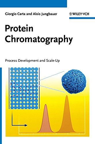 Protein Chromatography: Process Development and Scale-Up