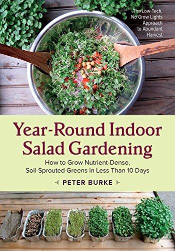 Year-Round Indoor Salad Gardening: How to Grow Nutrient-Dense, Soil-Sprouted Greens in Less Than 10 Days