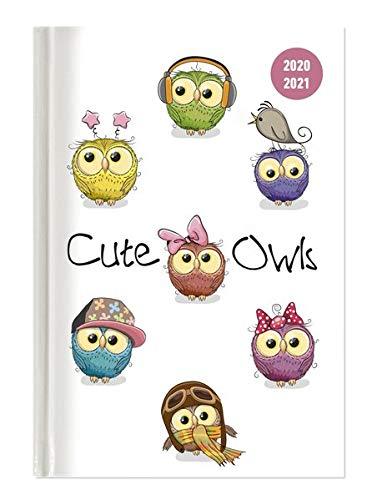 Collegetimer Cute Owls 2020/2021 - Schüler-Kalender A5 (15x21 cm) - Eule - Day By Day - 352 Seiten - Terminplaner - Notizbuch - Alpha Edition (Collegetimer A5 Daily)