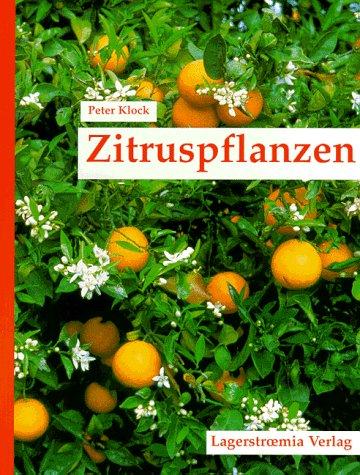 Zitruspflanzen