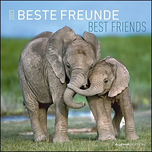 Beste Freunde 2023 - Broschürenkalender 30x30 cm (30x60 geöffnet) - Kalender mit Platz für Notizen - Best Friends - Bildkalender - Wandkalender