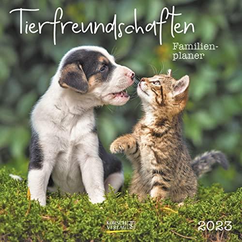 Tierfreundschaften - Familientimer 2023: Broschürenkalender mit Ferienterminen. Format: 30 x 30 cm