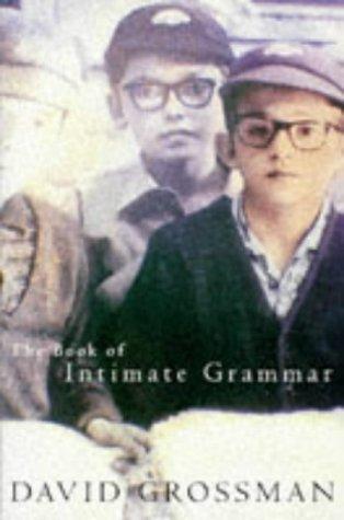 The Book Of Intimate Grammar