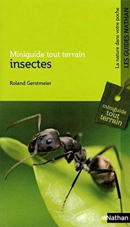 Insectes