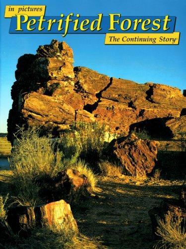 Petrified Forest: Nature's Continuing Story (Discover America: National Parks in Pictures... Nature's Continuing Story)