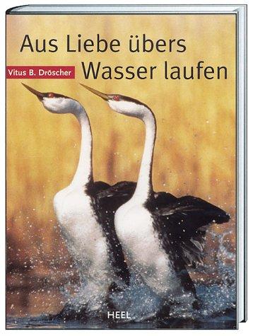 Aus Liebe übers Wasser laufen