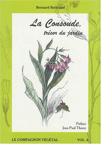 La consoude, trésor du jardin