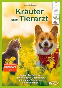 Kräuter statt Tierarzt: Heilpflanzen für Hunde und Katzen