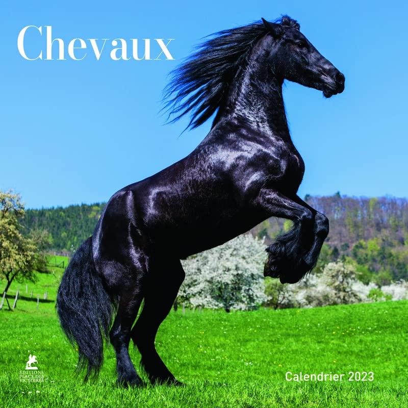 Chevaux : calendrier 2023