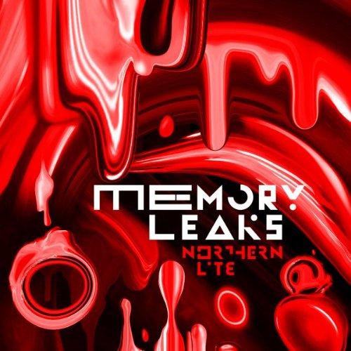 Memory Leaks