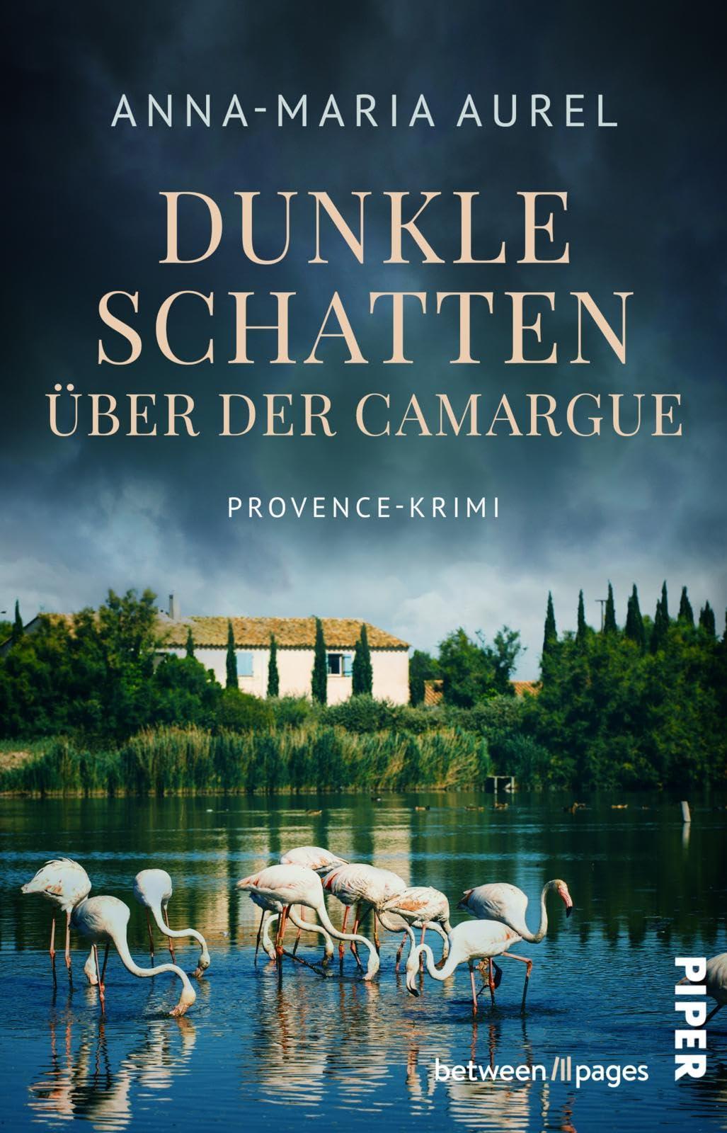 Dunkle Schatten über der Camargue (Capitaine Mathieu Dubois ermittelt 2): Provence-Krimi | Ein tragischer Familienurlaub in Südfrankreich