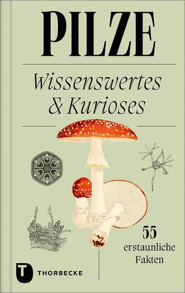 Pilze: Wissenswertes und Kurioses – 55 erstaunliche Fakten