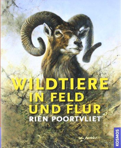 Wildtiere in Feld und Flur