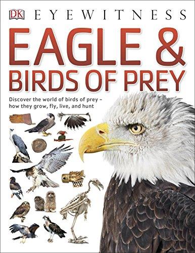 Eagle & Birds of Prey (Eyewitness)