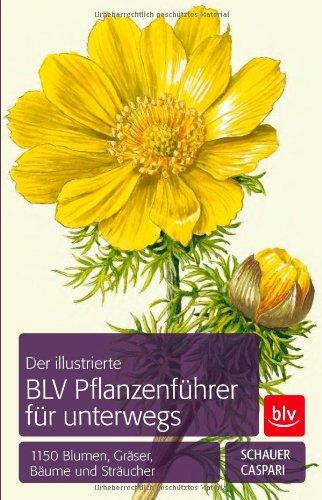 Der illustrierte BLV Pflanzenführer für unterwegs: 1150 Blumen, Gräser, Bäume und Sträucher