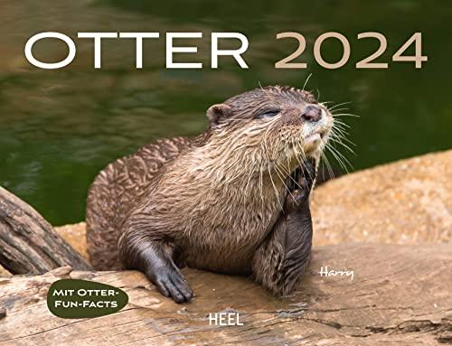 Otter Eintragkalender 2024: Familienplaner