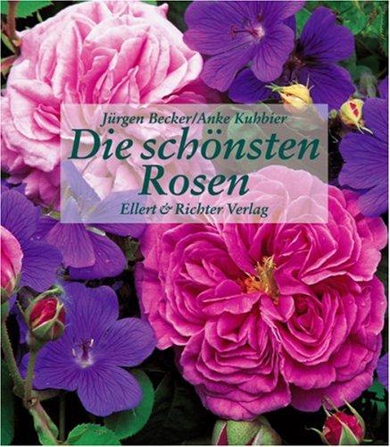 Die schönsten Rosen