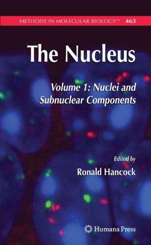 The Nucleus: Volume 1: Nuclei and Subnuclear Components (Methods in Molecular Biology)