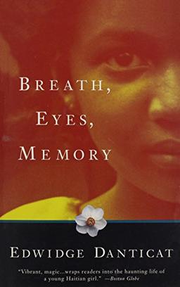 Breath, Eyes, Memory (Vintage Contemporaries)